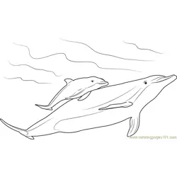 Mother and Baby Dolphin Free Coloring Page for Kids