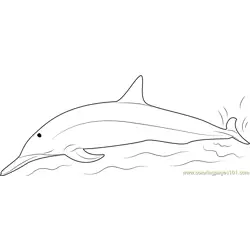Spinner Dolphins Free Coloring Page for Kids