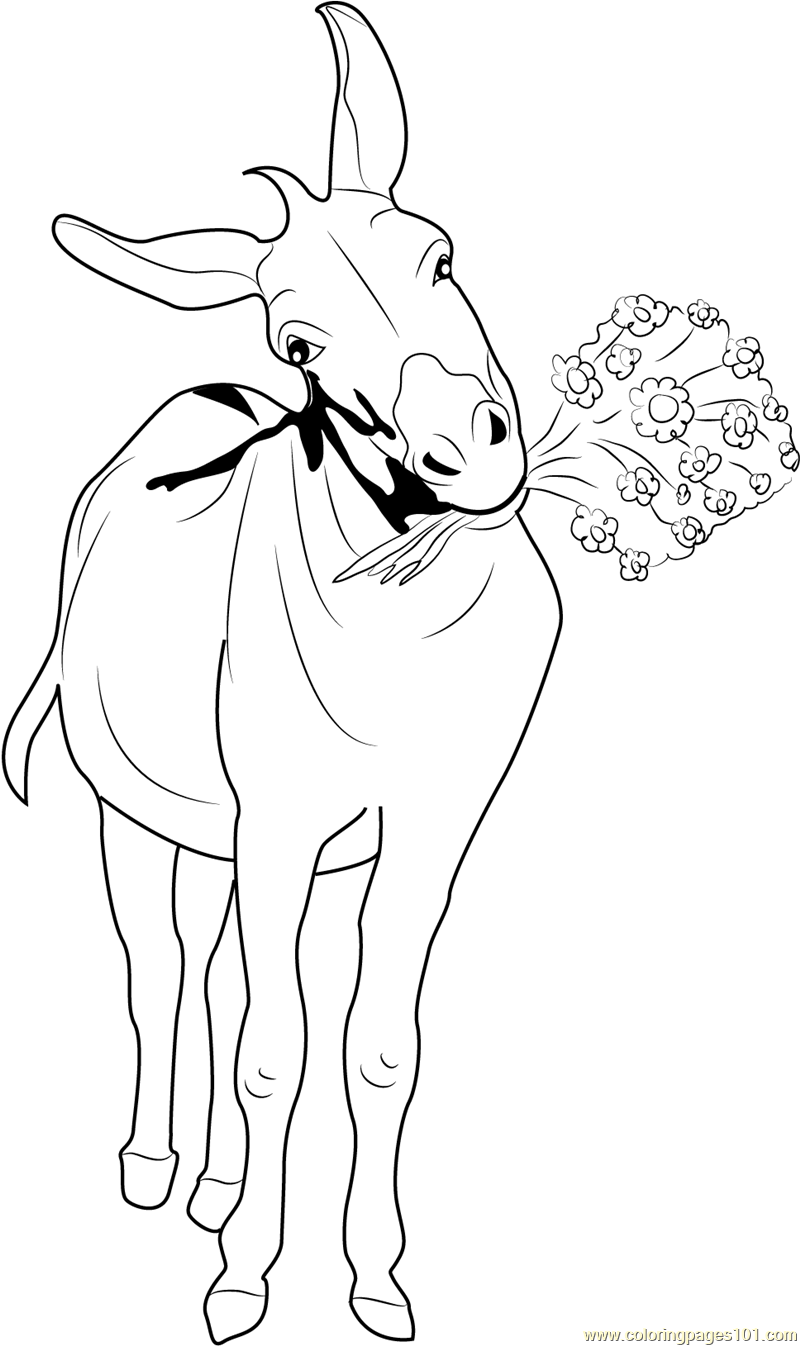 Donkey with Flowers Coloring Page for Kids - Free Donkey Printable