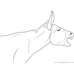 A Laughing Donkey Free Coloring Page for Kids