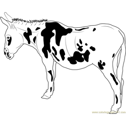 Black Spotted Donkey Free Coloring Page for Kids