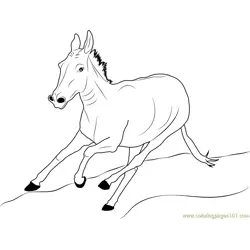 Donkey Running Free Coloring Page for Kids