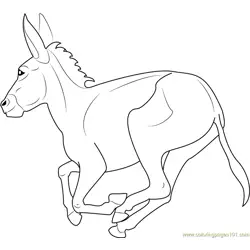 Equus africanus asinus Free Coloring Page for Kids