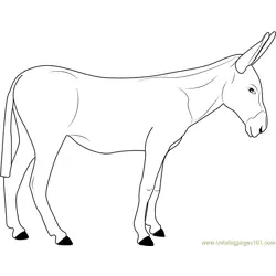 European Donkeys Free Coloring Page for Kids