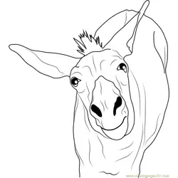 Funny Donkey Free Coloring Page for Kids