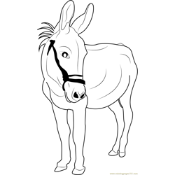 Good Looking Donkey Free Coloring Page for Kids