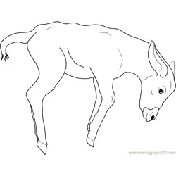 Jumping Baby Donkey Free Coloring Page for Kids