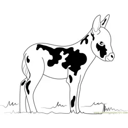 Miniature Donkey Free Coloring Page for Kids