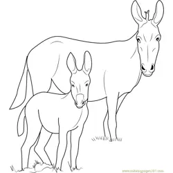 Ponui Donkey Free Coloring Page for Kids