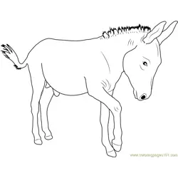 Walking Donkey Free Coloring Page for Kids