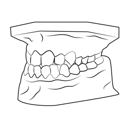 Teeth Jaw 3d Model Free Coloring Page for Kids