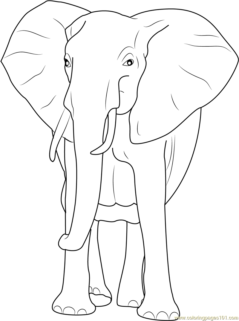 African Bush Elephant Coloring Page for Kids - Free Elephant Printable