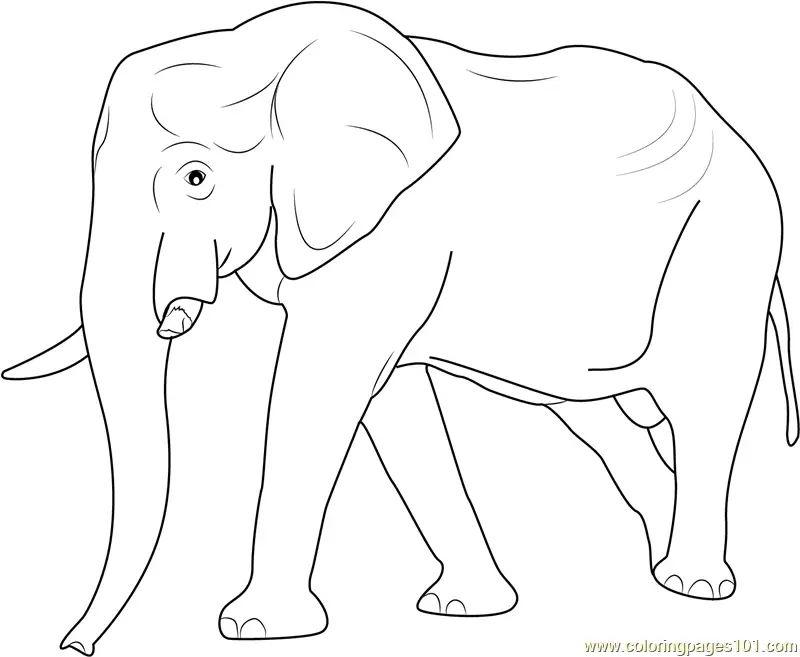 Big Elephant Walking Coloring Page for Kids - Free Elephant Printable ...