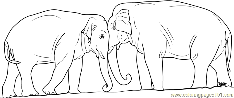 Elephant Fighting Coloring Page for Kids - Free Elephant Printable