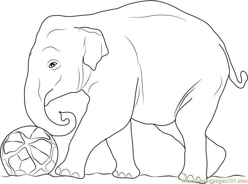 Elephant Play Football Coloring Page For Kids Free Elephant Printable Coloring Pages Online For Kids Coloringpages101 Com Coloring Pages For Kids