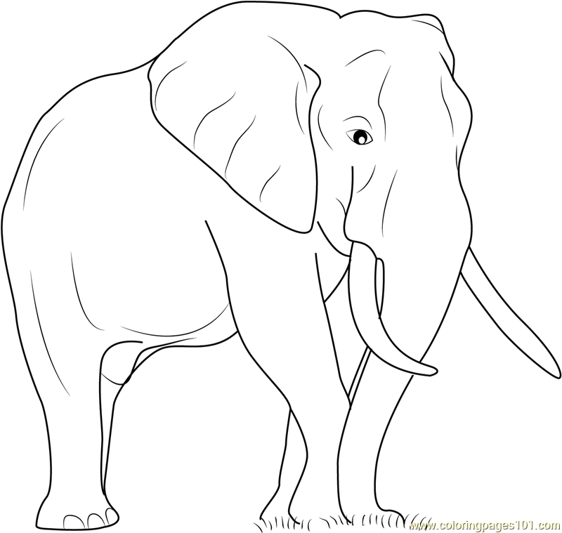 Elephant The Big Animal Coloring Page for Kids - Free Elephant Printable  Coloring Pages Online for Kids  | Coloring Pages for  Kids