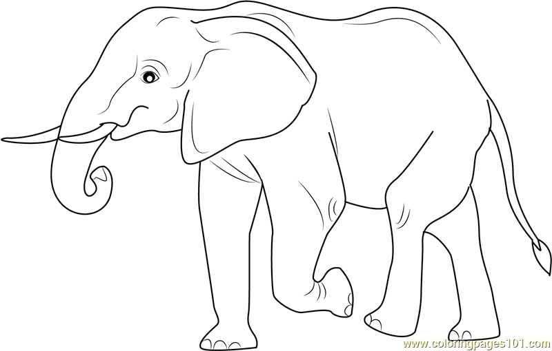 Elephant Walking Away Coloring Page for Kids - Free Elephant Printable