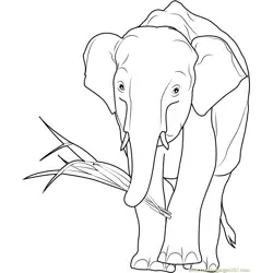 African Elephant Eating Free Coloring Page for Kids
