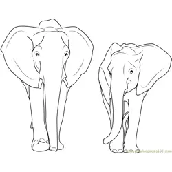 Asian Elephant Free Coloring Page for Kids