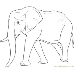 Big Elephant Walking Free Coloring Page for Kids