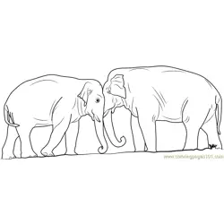 Elephant Fighting Free Coloring Page for Kids