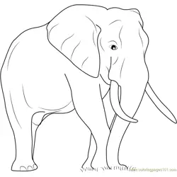 Elephant The Big Animal Free Coloring Page for Kids