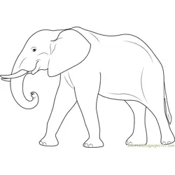 Elephant Free Coloring Page for Kids