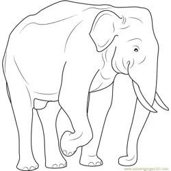 Indian Elephant Free Coloring Page for Kids