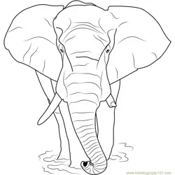Loxodonta africana Free Coloring Page for Kids