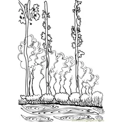 Poplar Free Coloring Page for Kids
