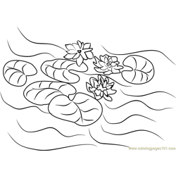 Water Lilies Free Coloring Page for Kids