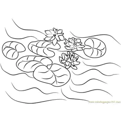 Water Lilies Free Coloring Page for Kids