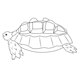 Yurtle Stranger Things Free Coloring Page for Kids