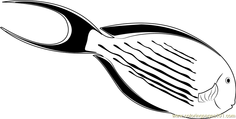 Red Sea Fish Coloring Page for Kids - Free Other Fish Printable