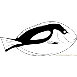 Blue Tang Fish Free Coloring Page for Kids