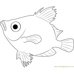 Boar Fish Free Coloring Page for Kids