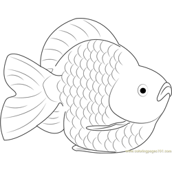 Carassius auratus Free Coloring Page for Kids