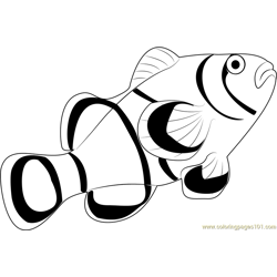 Clown Fish Free Coloring Page for Kids