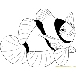 Clown Water Fish Free Coloring Page for Kids