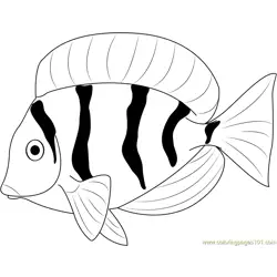 Fresh Water Fish Free Coloring Page for Kids