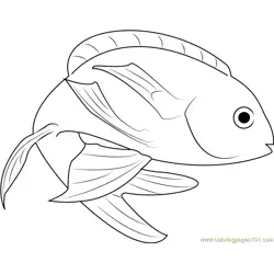 Marina Fish Free Coloring Page for Kids
