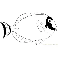 Powder Blue Surgeonfish Free Coloring Page for Kids