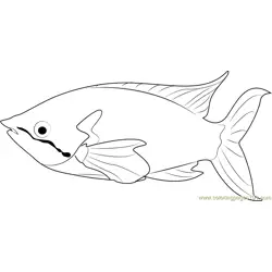 Rainbow Fish Free Coloring Page for Kids