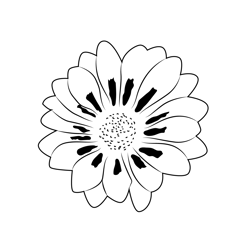 Gazania Flower Free Coloring Page for Kids