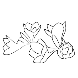 Amaryllis Flower Bouquet Free Coloring Page for Kids