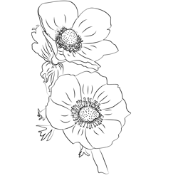 Anemone Free Coloring Page for Kids