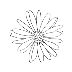 Aster Free Coloring Page for Kids