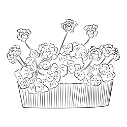Geranium Flowers In Pot Free Coloring Page for Kids