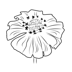 Beautiful Crocus Free Coloring Page for Kids
