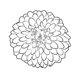 Dahlia Free Coloring Page for Kids